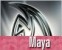 maya-2011-nahled2.jpg