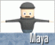 maya-carton-nahled2.gif