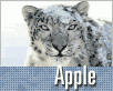 apple-snowleopard-nahled1.gif